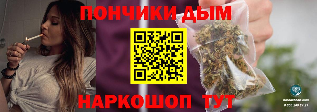 Ярославль  Марихуана сатива  Каннабис планчик  Вход с VPN  Конопля индика 